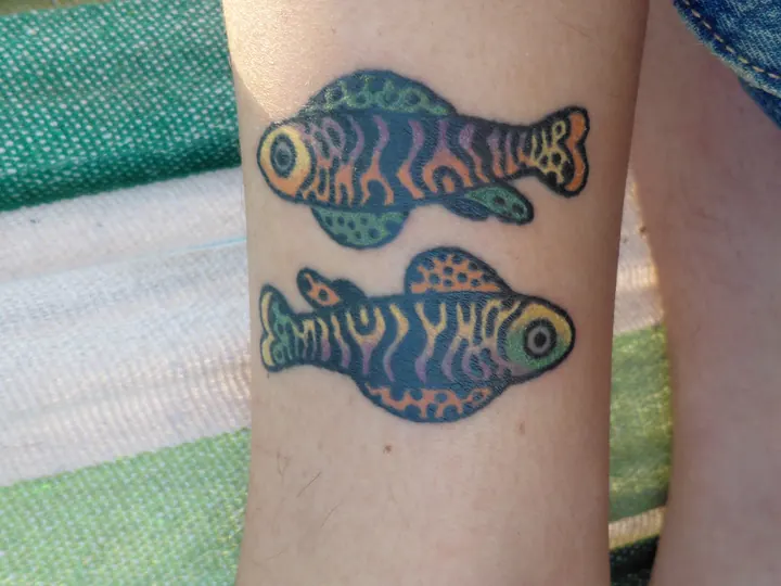 Cover-up, after: the two fish redone in bright colour, on the lower leg