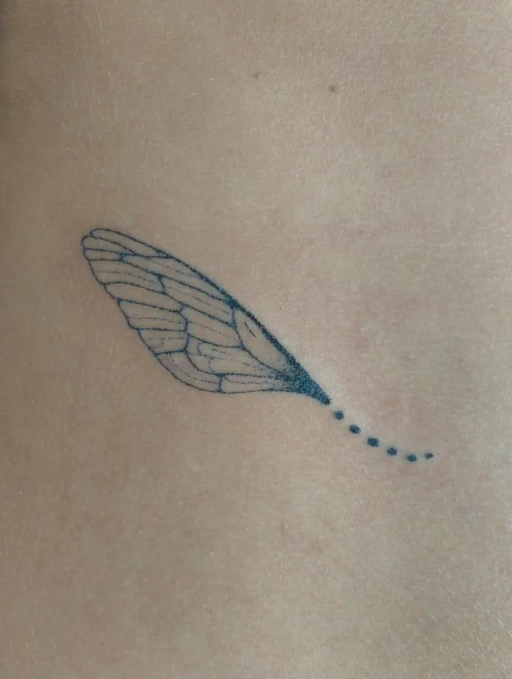 Insect wing with a dotted trail
